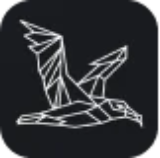 KST Fon İçeriği – Allbatross Portföy Katılım Hisse Fonu