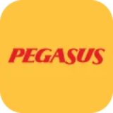 Pegasus Katılım Endeksine Uygun mu?
